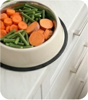 Top 11 Vegetables That Are Great for Dogs